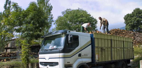 El camión de transporte de leña del mayorista, carga varias toneladas de leña 